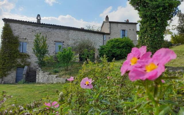 Agriturismo del Frontino - Lo Studio