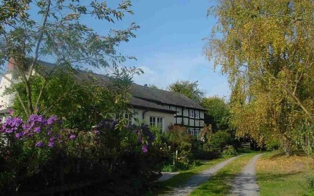 Yew Tree Cottage B&B