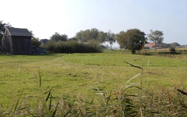 Bed & Coffee Maricoweg