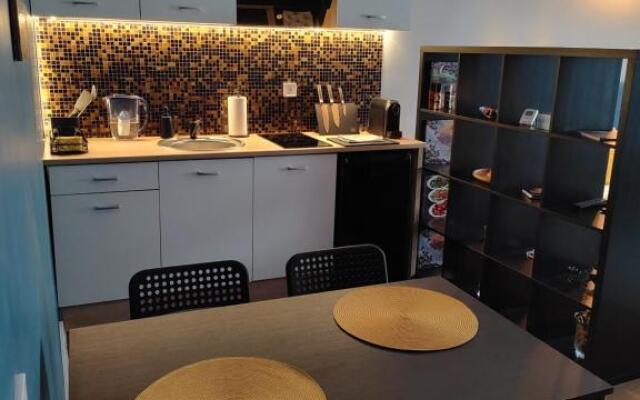 Unique studio apartment in city center