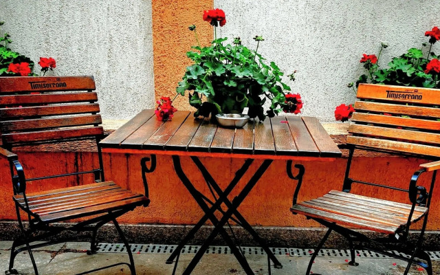 Bucur 9