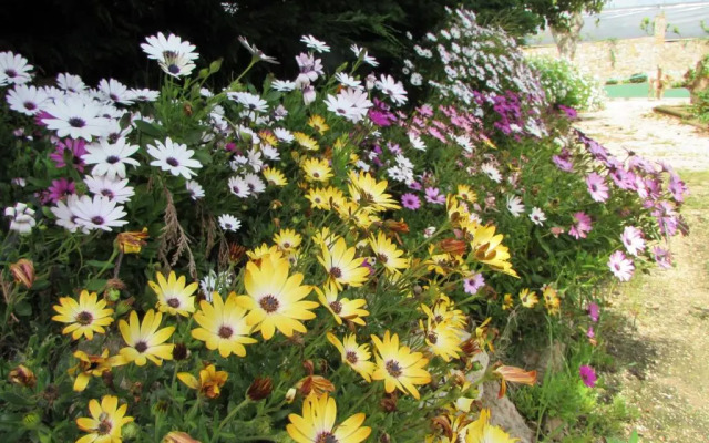 Quinta Sobral Prestige