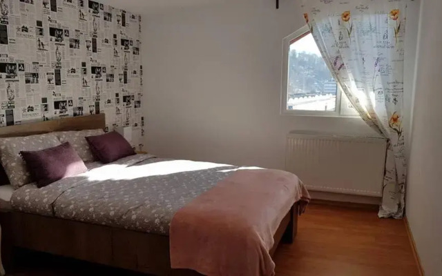 Prahova Valley Apartment