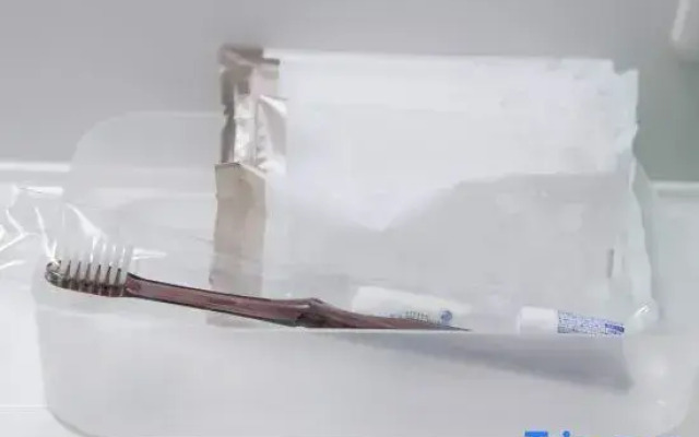 Royal Inn Kakegawa (station Hotel 2)