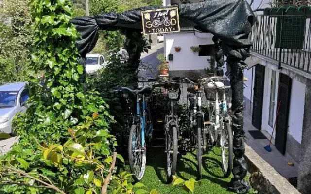 AUNTIE EVELYN'S HOME - Appartamento, Giardino&BBQ