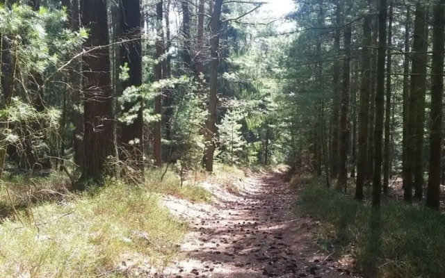 Holiday Apartment Hammergrund