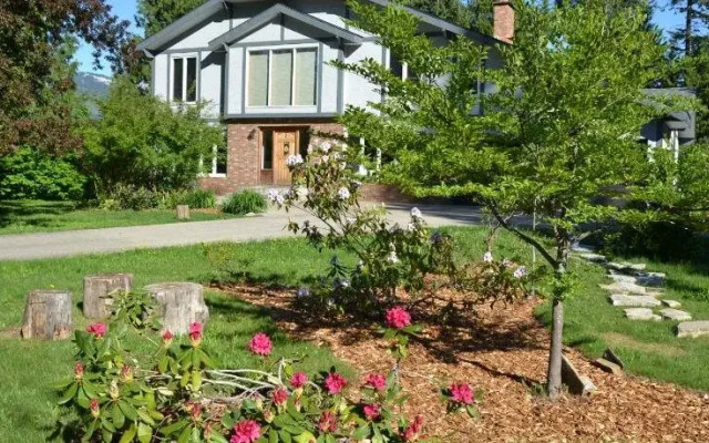 The Pines Bed & Breakfast, B&B