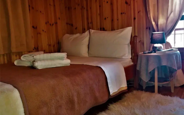 Hotel Acropolis Metsovo