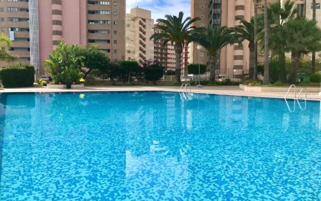 Paraiso 10 Blueline