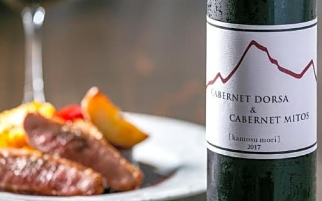 Kamosu Mori - Vacation STAY 82566