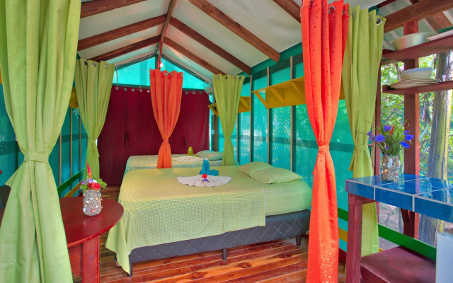 Jungle's Edge: Jiu-Jitsu, Muay Thai & Yoga Retreats