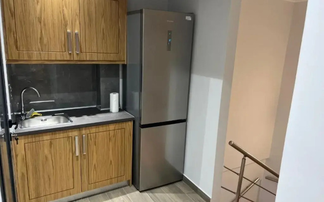Deluxe furnished apartment (In the city center)