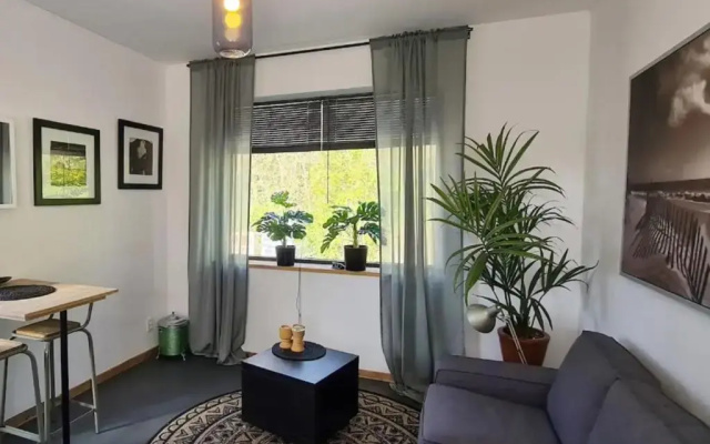 Studio tussen de bossen en de bollenvelden