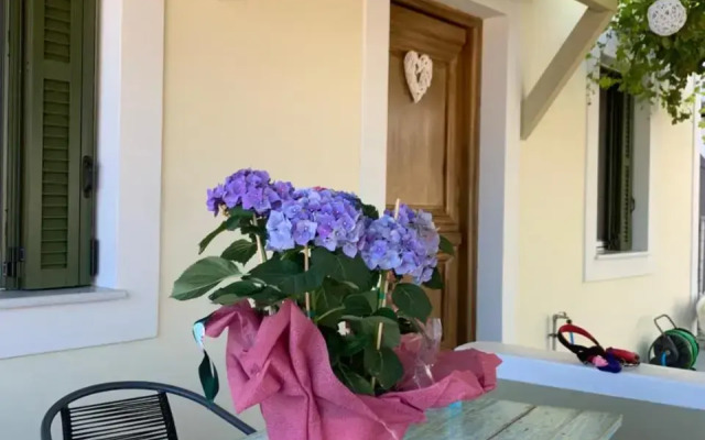 Nestor's house