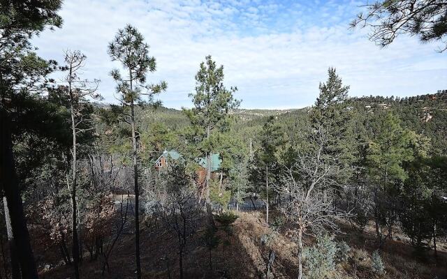 Bare Bear - Two Bedroom Cabin