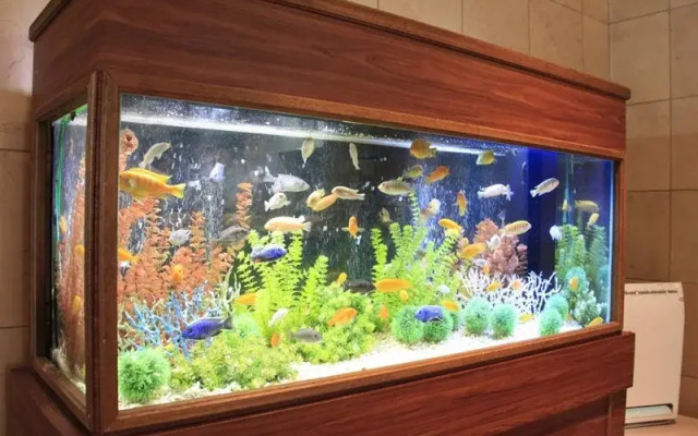 Capsule Hotel Lido Inn Omori (Male Only)