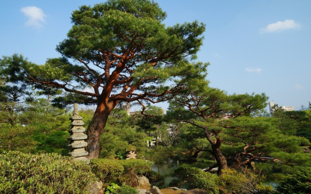 Meisho Sansuien - Yuda Onsen -