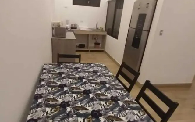 Wide Mouth Frog At Quepos