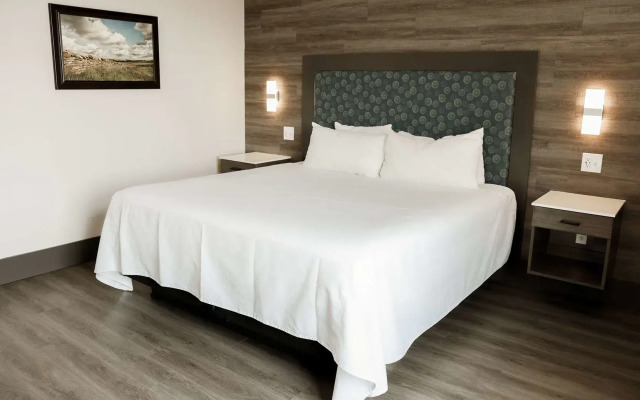 The Oread Lawrence, Tapestry Collection by Hilton