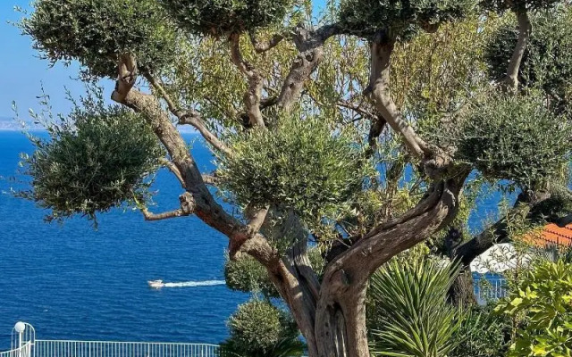 Villaggio Villa Lubrense