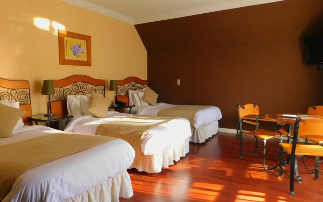 Hotel Boutique Velvet 375