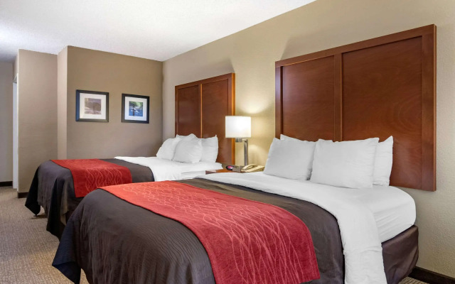 Comfort Inn & Suites Suwanee - Sugarloaf