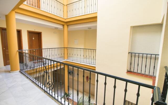 New Wood Studio Plaza la Merced