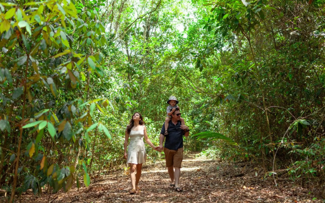 The Canopy Rainforest Treehouses and Wildlife Sanctuary