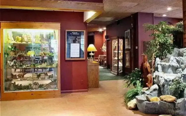 Chestnut Tree Inn - Cherokee