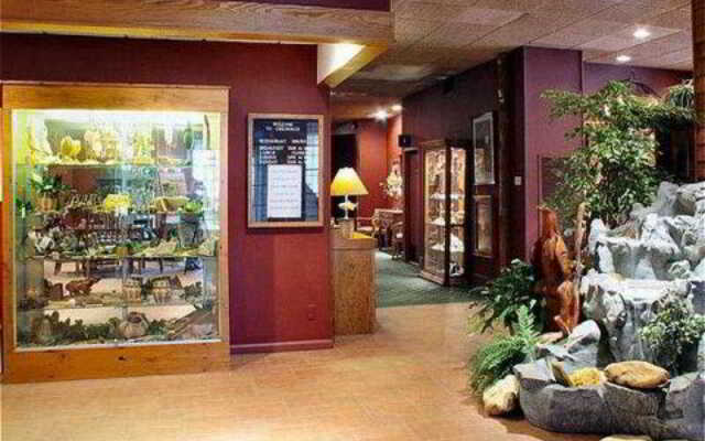 Chestnut Tree Inn - Cherokee