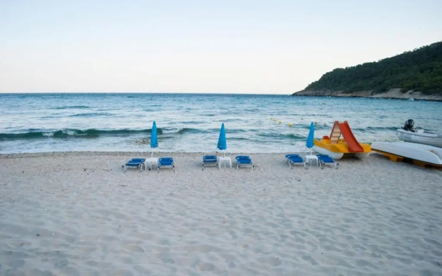 Blue Dreams Thimonia