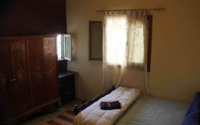 Pyramids Loft Homestay