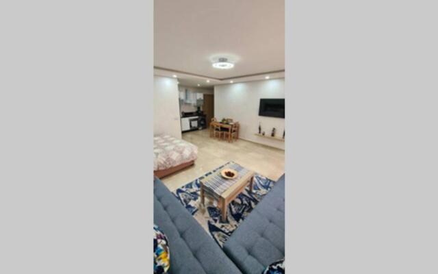 CENTRAL VIP STUDIO appartement