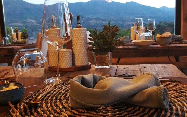 El Violin Experiencia