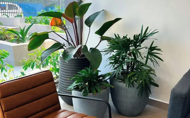 Loxwood Apartment