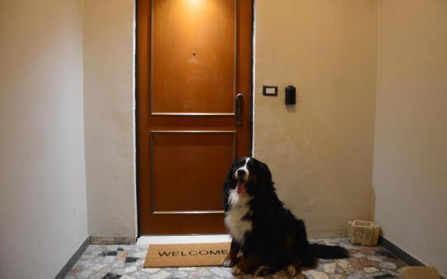 Luxury Bellevue Centro Città