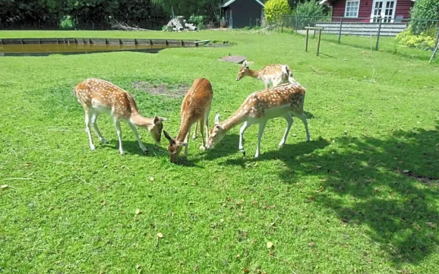 B&B Landgoed Sonneborghe