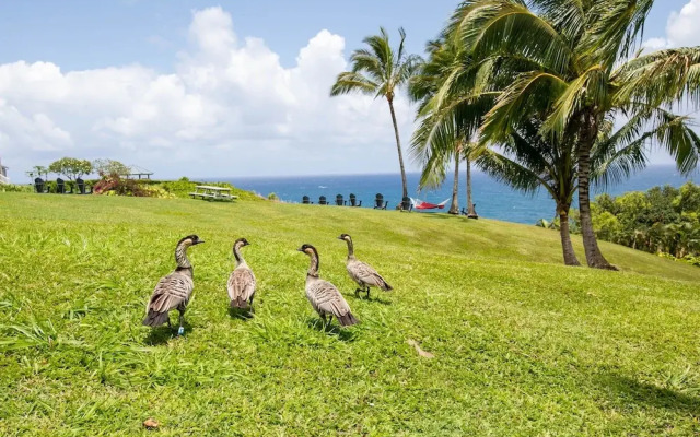 Cliffs 5205 1 Bedroom Condo by RedAwning