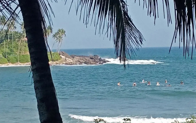 Surf Paradise Hotel