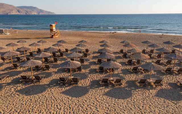 Delfina Tropic Beach