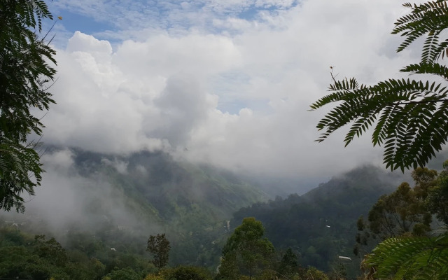Adannz view