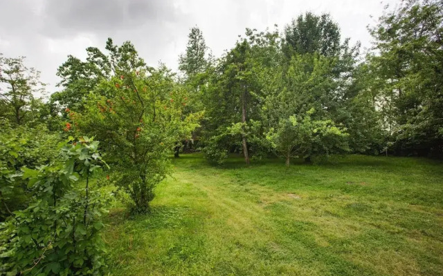 Oykum Villa Sapanca
