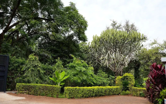jacaranda homestay