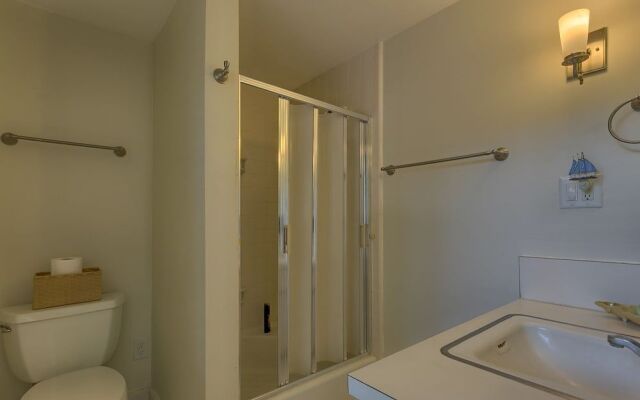 Spotted Sandpiper 12 by RedAwning