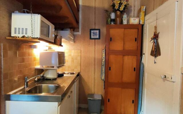 Studio Cauterets, 1 pièce, 2 personnes - FR-1-234-273