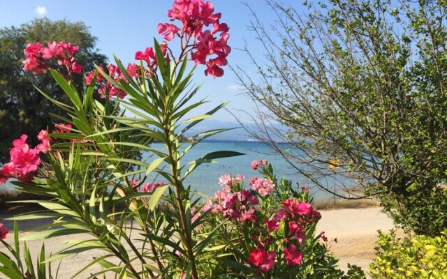 Apartment With in Drossia Chalkis With Wonderful sea View