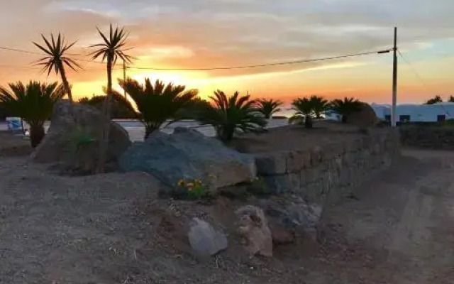 Dammusi Gold - Raffy