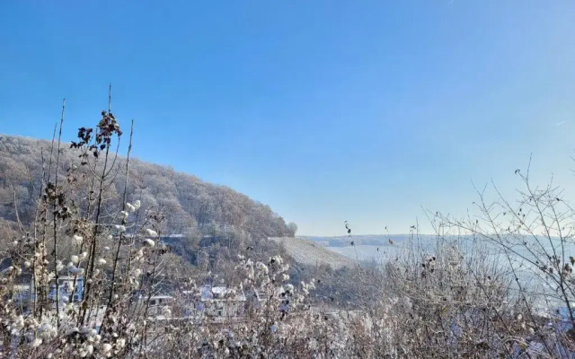 Ahrtal Vier Sterne Ferienwohnungen Alexandra Weiler Panorama