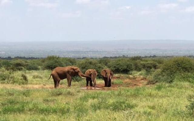 Amboseli Eco Camp