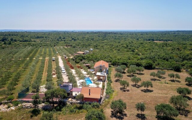 Charming Holiday Home With Pool, Jacuzzi and Privacy in the Middle of an Olive Grove